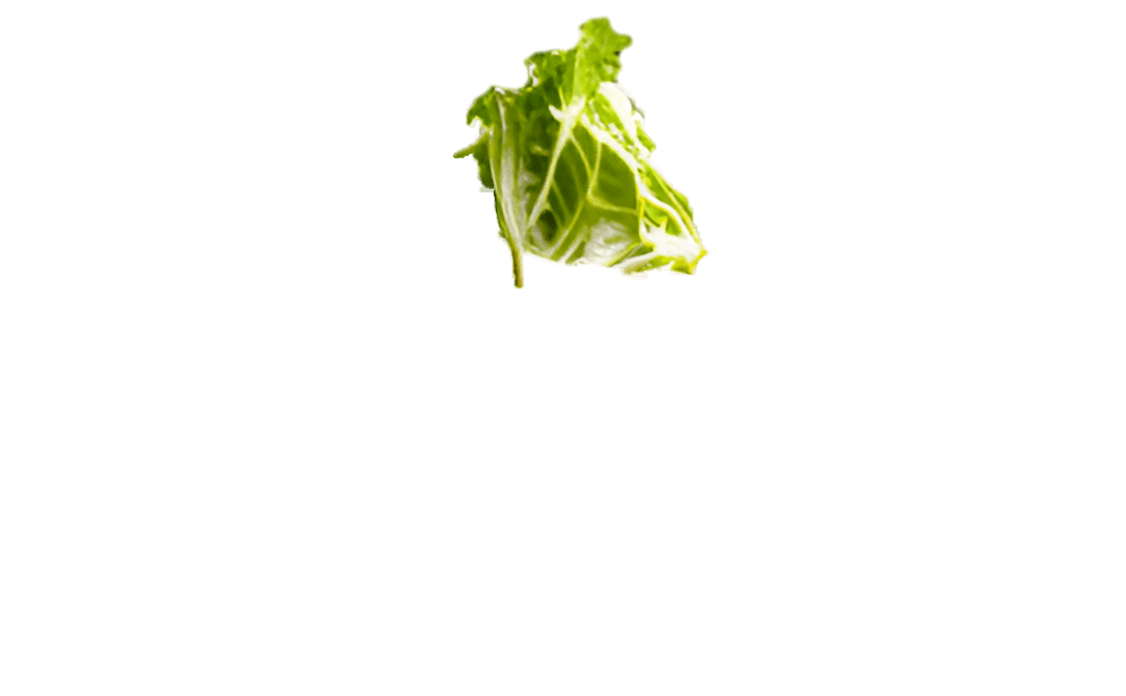 caesar