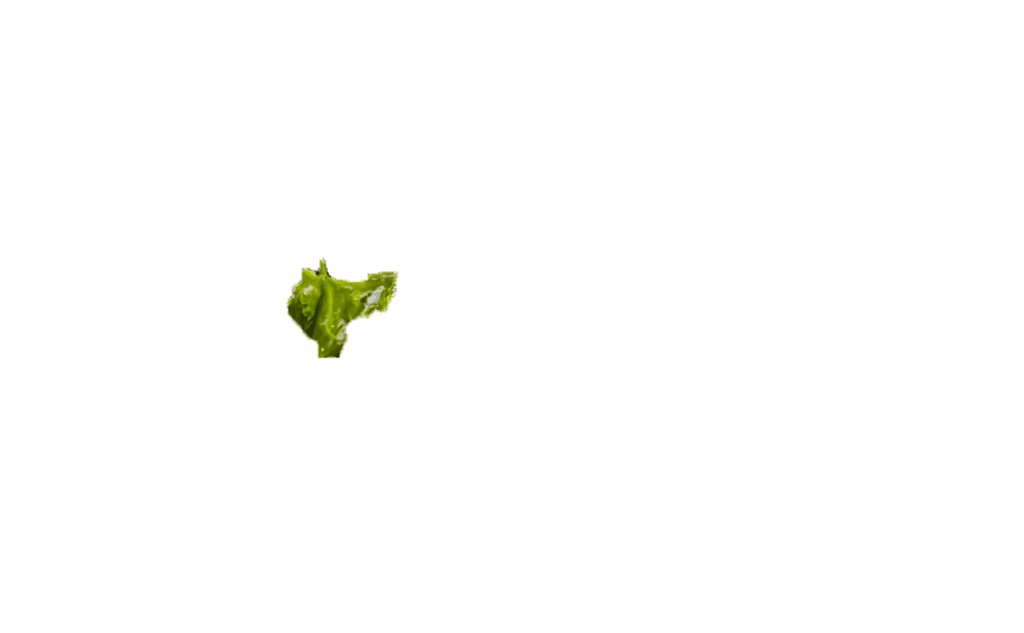 caesar