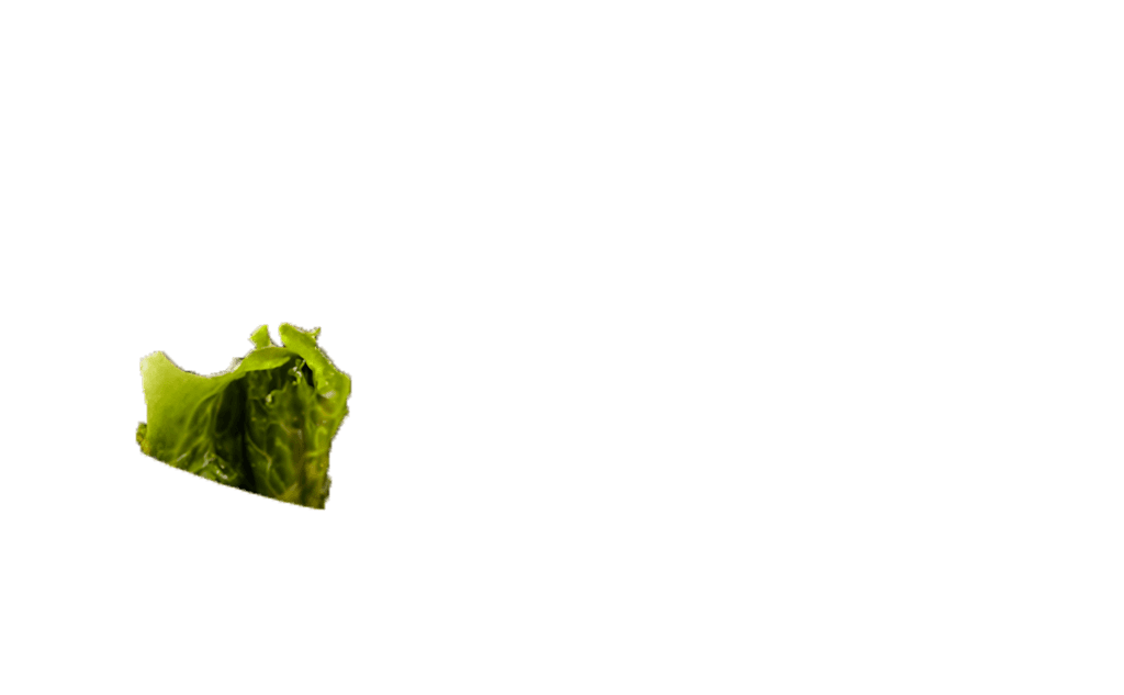 caesar