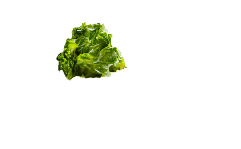 caesar