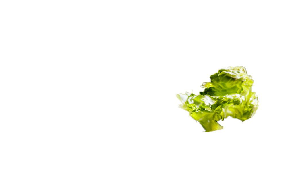 caesar