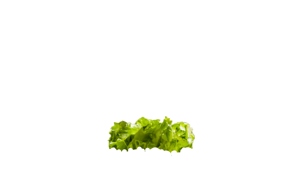 caesar