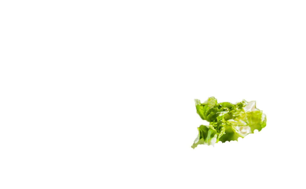 caesar