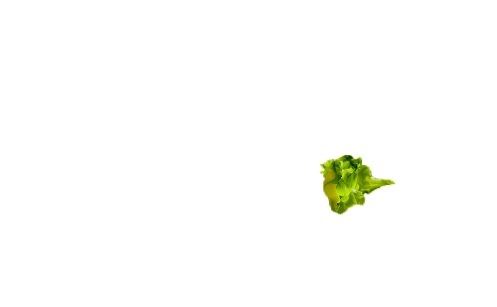 caesar